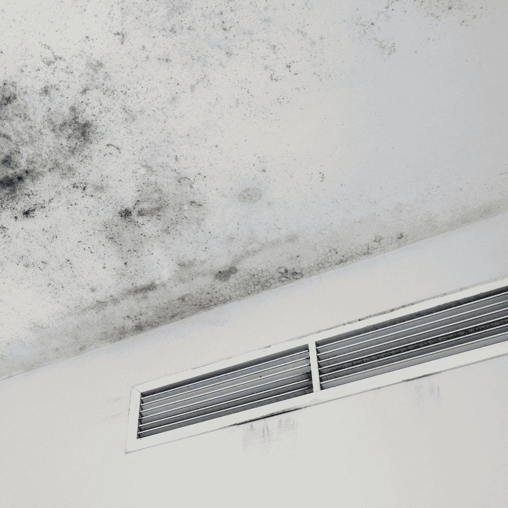 Professional mold testing services in Ottawa, including air and surface inspections to detect hidden mold and moisture issues. Fast results and clear reporting.